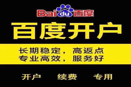 SEM优化策略：实战案例解析